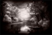 631 - MISTY MORNING - HORSNELL JENNI - australia <div